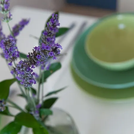 アイリス * ドゥブロブニク