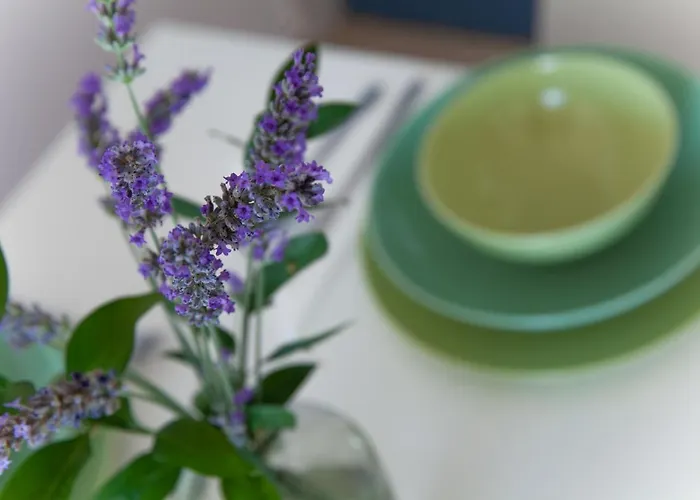 Iris * Ντουμπρόβνικ